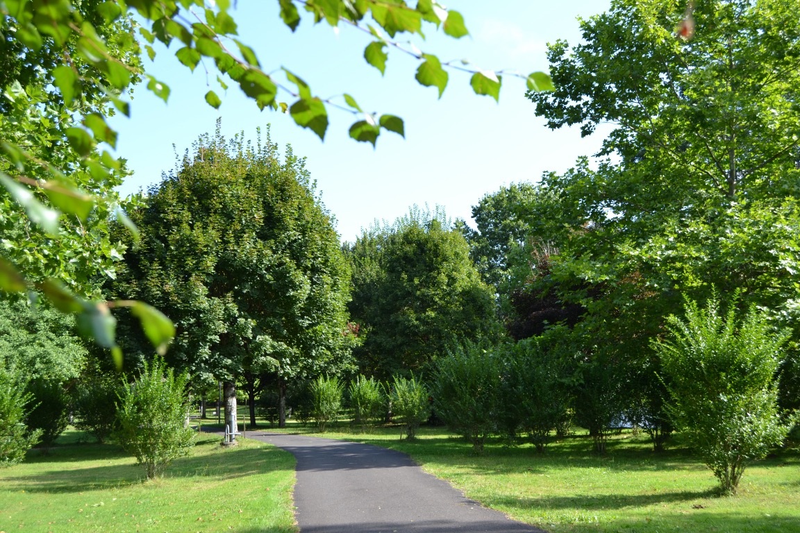 route-camping-vic-nature-vic-sur-cere